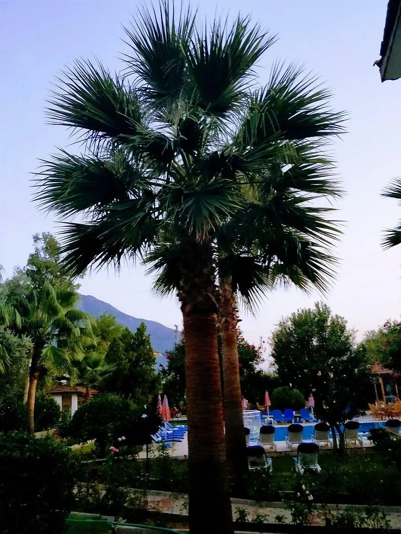 אולודניץ Gorkem Hotel & Apartments